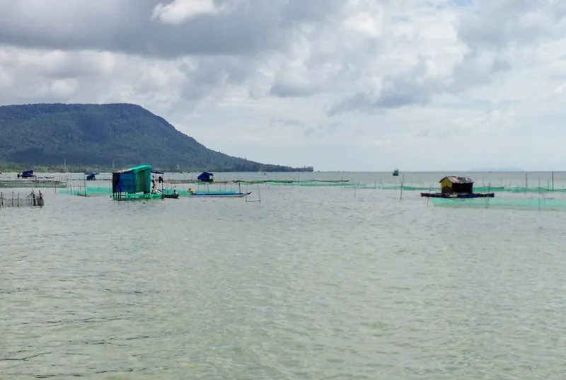 Floating fishing huts and green nets dot the shallow sea off Ham Ninh village in Phu Quoc, with hills beyond.