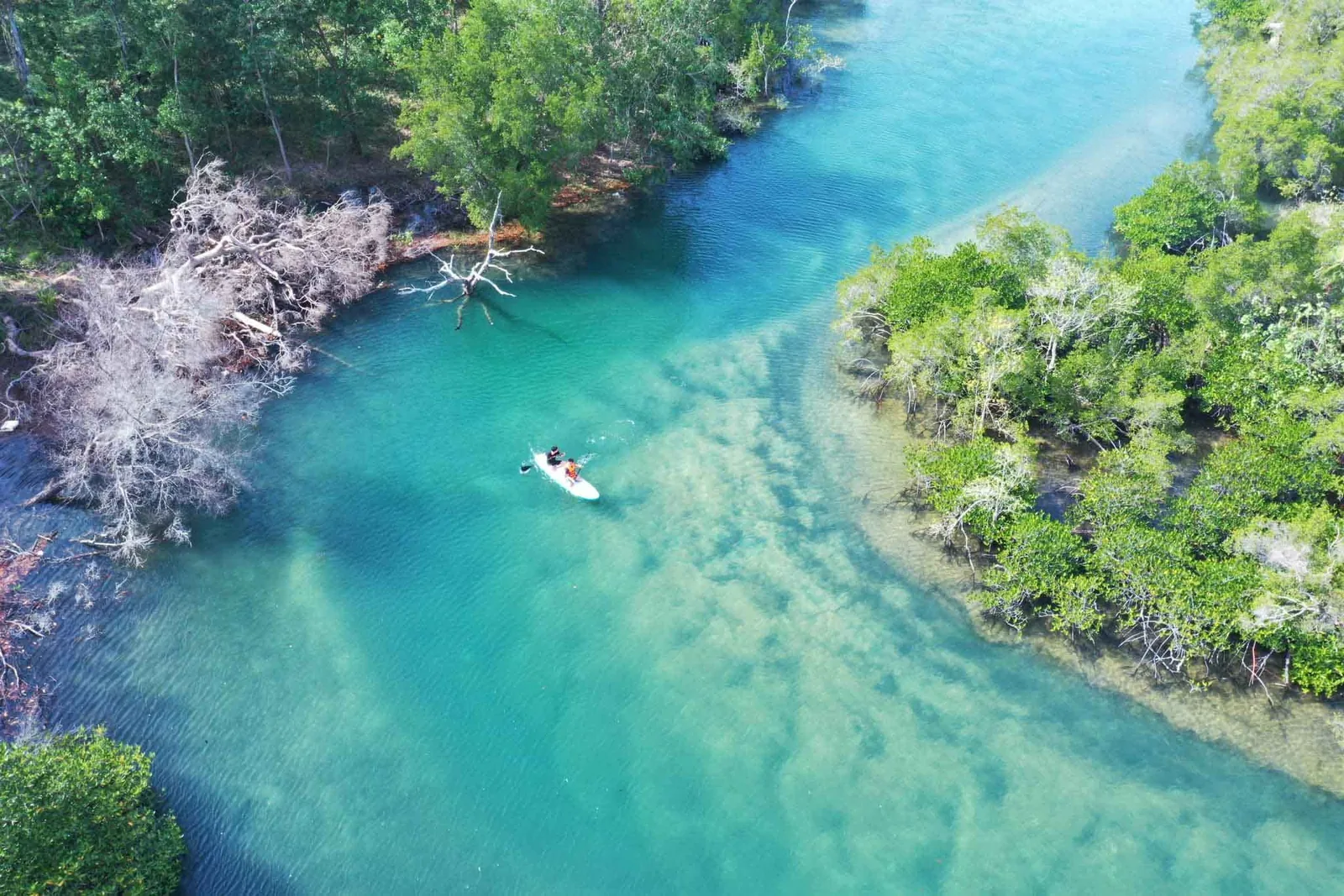 Aerial view of a kayaker paddling through turquoise mangrove waters near Phu Quoc island.
