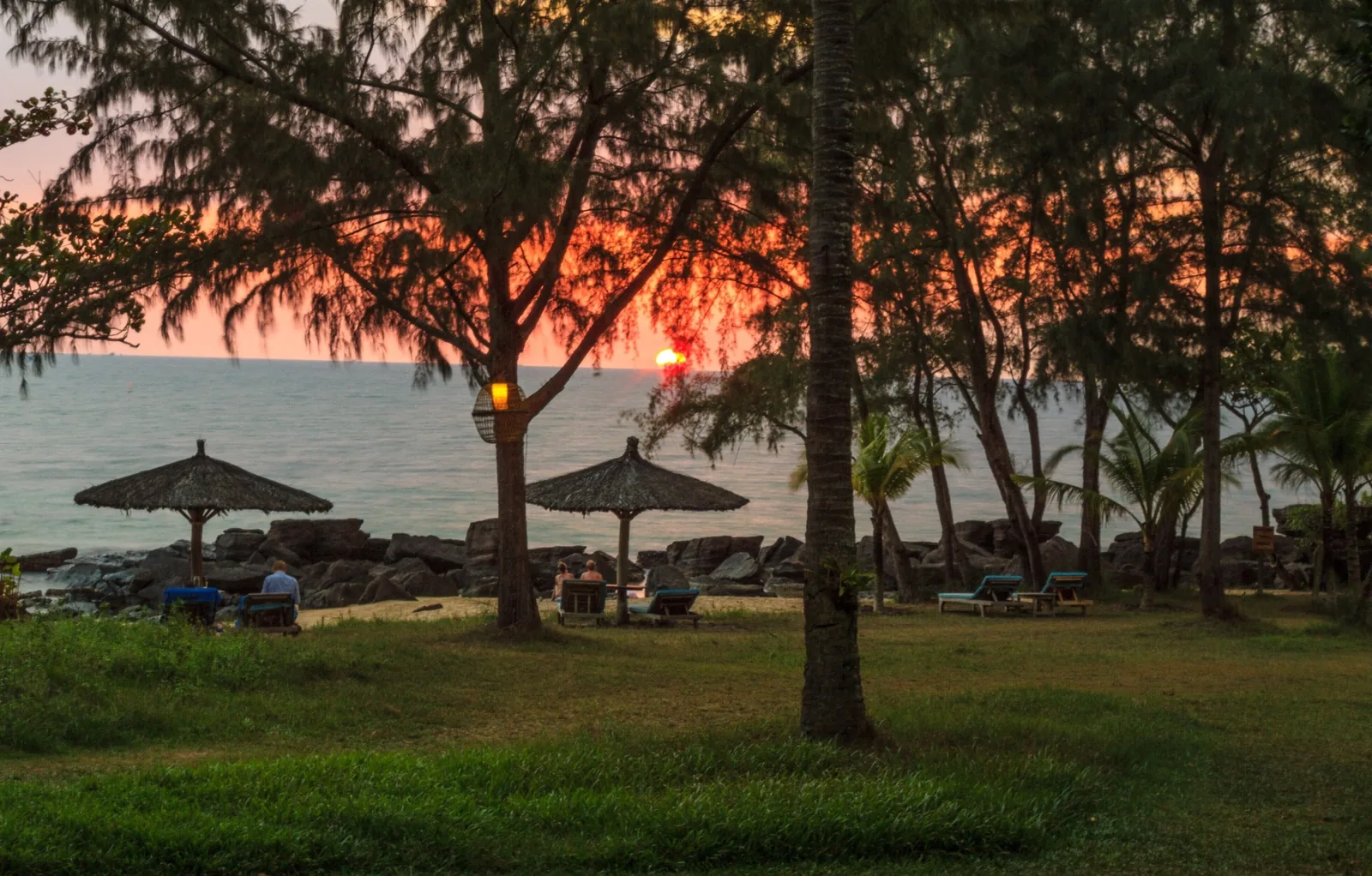 Thatched umbrellas and loungers line a quiet beach at sunset among pine trees on Phu Quoc island. Thatched umbrellas and loungers line a quiet beach at sunset among pine trees on Phu Quoc island.